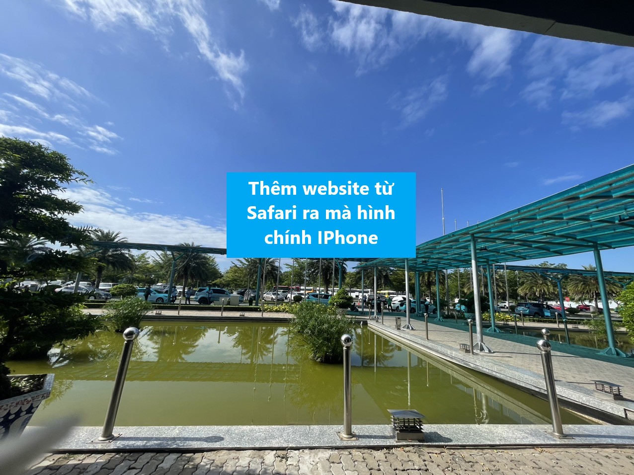 Thêm website từ Safari ra màn hình chính IPhone