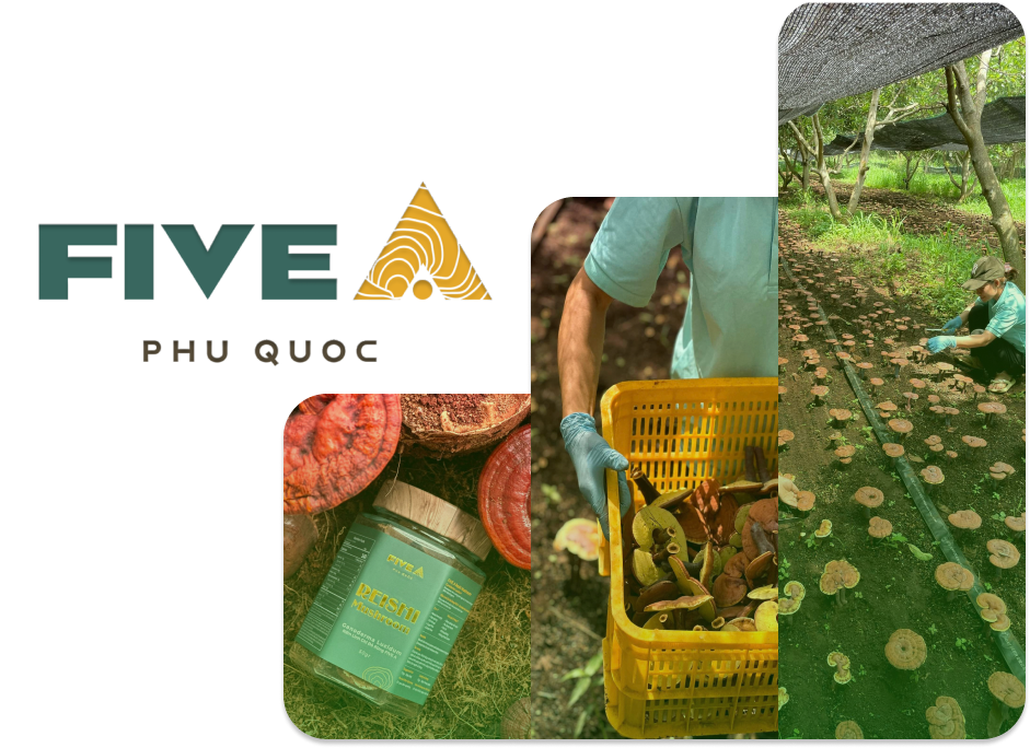 Thông tin Công Ty TNHH Five A Phú Quốc