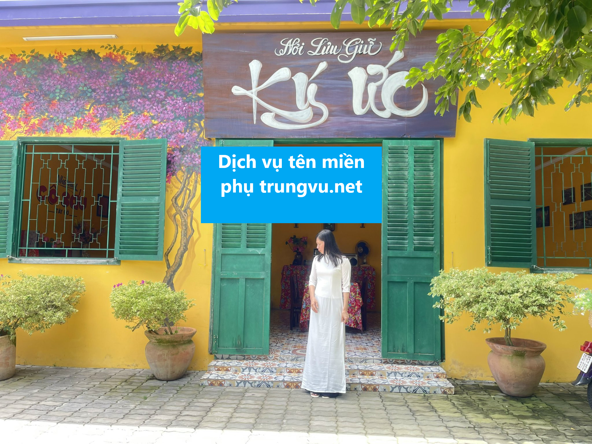 Tên miền phụ của trungvu.net