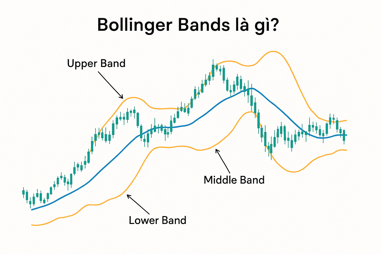 Bollinger Bands là gì? Cách sử dụng dải Bollinger trong phân tích kỹ thuật