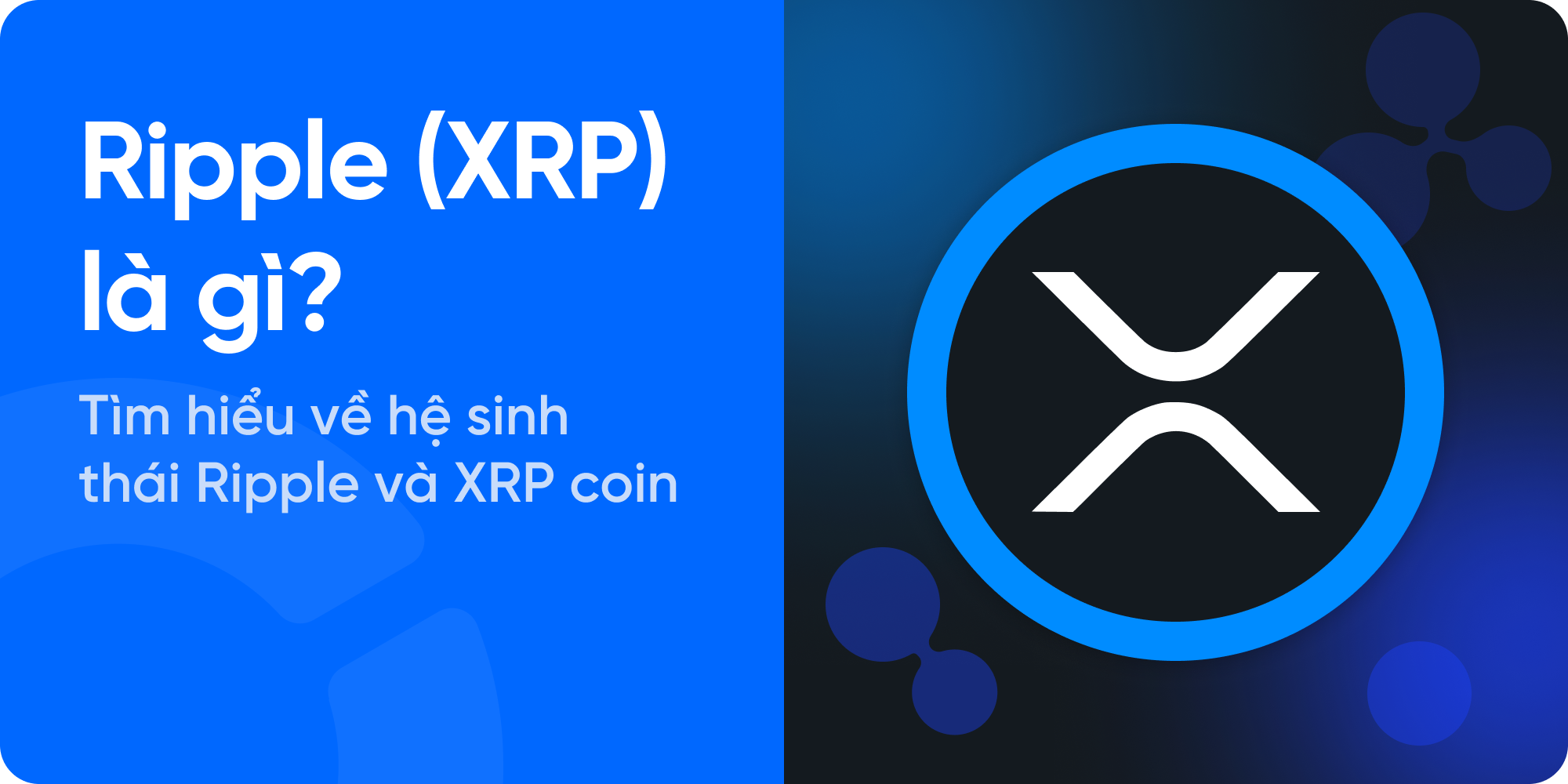 Ripple (XRP) là gì? Tìm hiểu đồng tiền điện tử dành cho ngân hàng