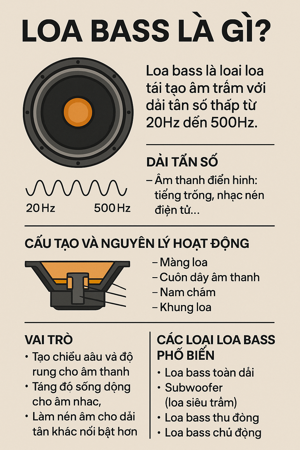 Loa Bass Là Gì? Tìm Hiểu Từ A-Z Về Loa Âm Trầm Quan Trọng Nhất