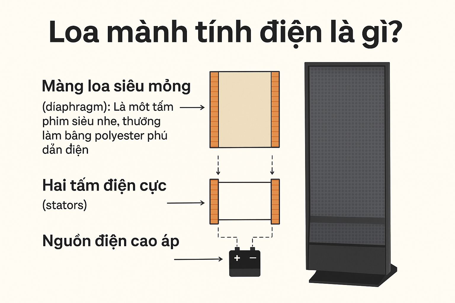 Loa mành tĩnh điện là gì? Tìm hiểu công nghệ âm thanh đỉnh cao