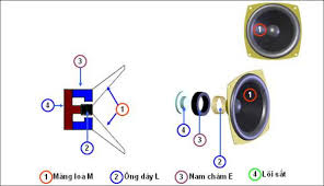Loa điện động là gì? Cấu tạo, nguyên lý hoạt động và ứng dụng chi tiết