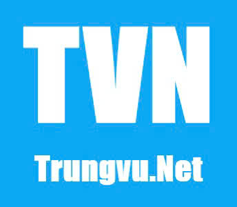 Trungvu.net