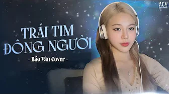 TRÁI TIM ĐÔNG NGƯỜI – KHẮC VIỆT | BẢO VÂN COVER