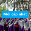 Bài viết mới nhất